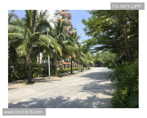 深圳攀岩队个人能力分析与提升策略探讨